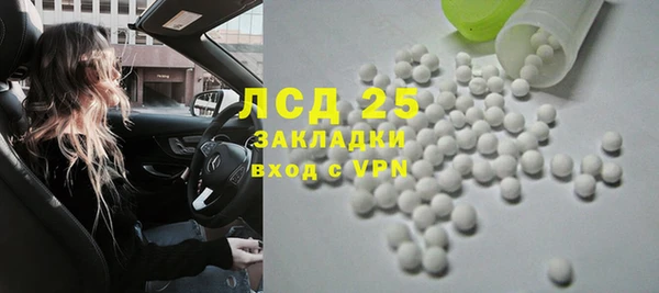 PSILOCYBIN Алзамай