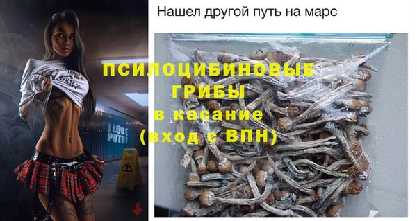PSILOCYBIN Алзамай