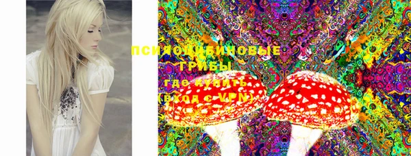PSILOCYBIN Алзамай