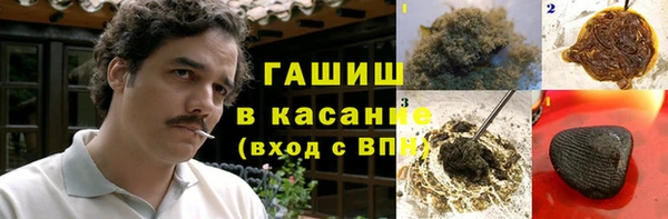 PSILOCYBIN Алзамай
