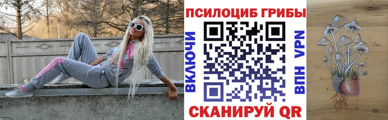 Галлюциногенные грибы мицелий  Борзя 