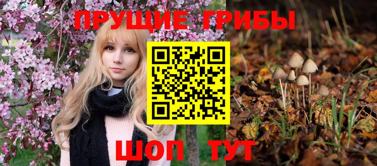 купить наркотики сайты  Псилоцибиновые грибы мухоморы  Вход с VPN  Борзя 