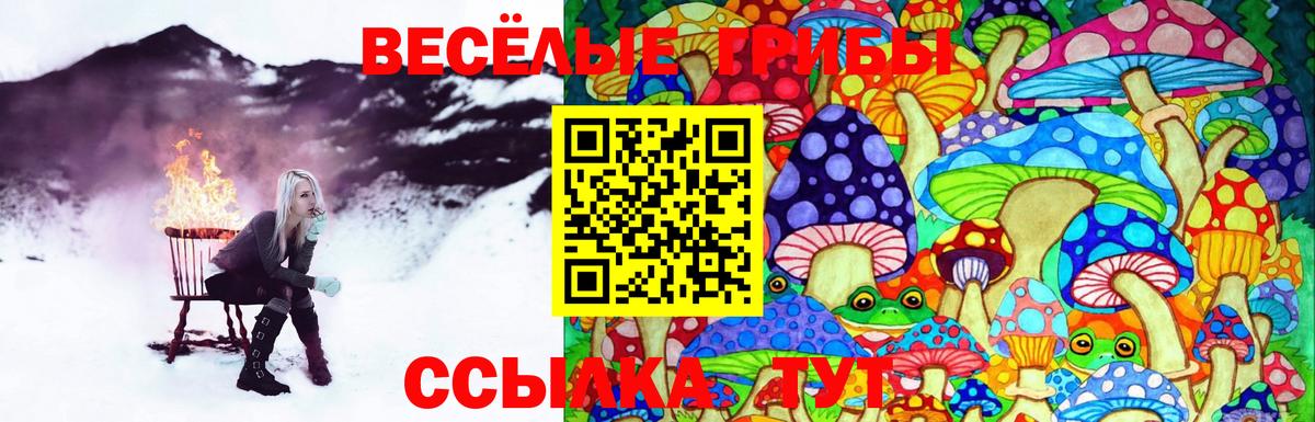Галлюциногенные грибы мицелий Борзя