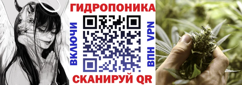 Каннабис SATIVA & INDICA  цена наркотик  Борзя 